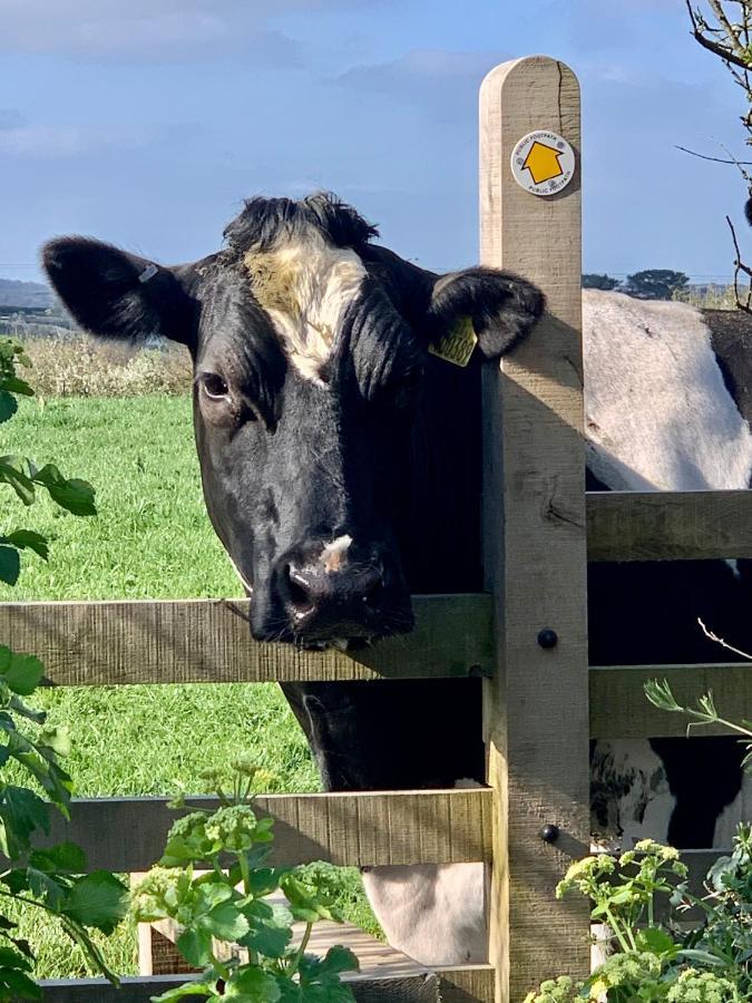 Gwel An Heyl, Padstow Villa Little Petherick Luaran gambar