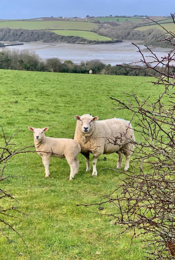 Gwel An Heyl, Padstow Villa Little Petherick Luaran gambar
